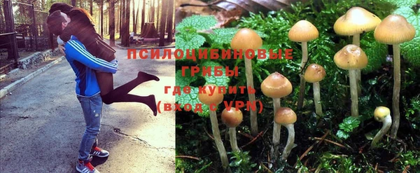 mix Алексин
